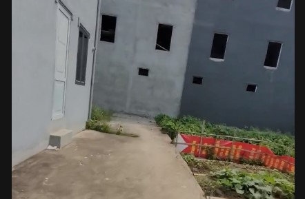 Bán Lô Đất 52m² Khu Phân Lô Ngõ 219 Cát Linh, Hải An, Hải Phòng – Giá Tốt, Sổ Đỏ Chính Chủ - Ảnh chính